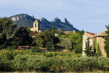 Vacqueyras, Provence