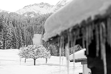 Icicles hang from the roof of a building in the snow