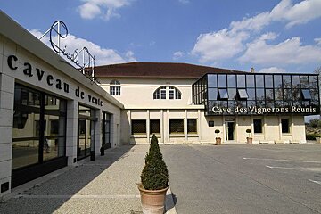 Sainte-Cecile-des-Vignes in the Cote du Rhone region