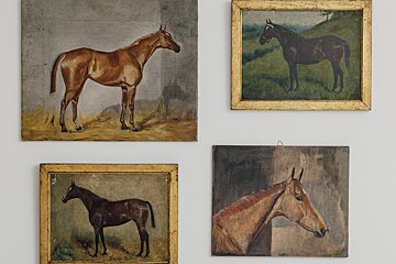 Four paintings of horses are hanging on a wall