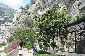 A man stands in front of a fence with a mountain in the background