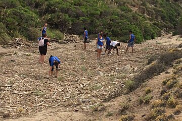Beach Clean Up, Playa de Palma - El Arenal