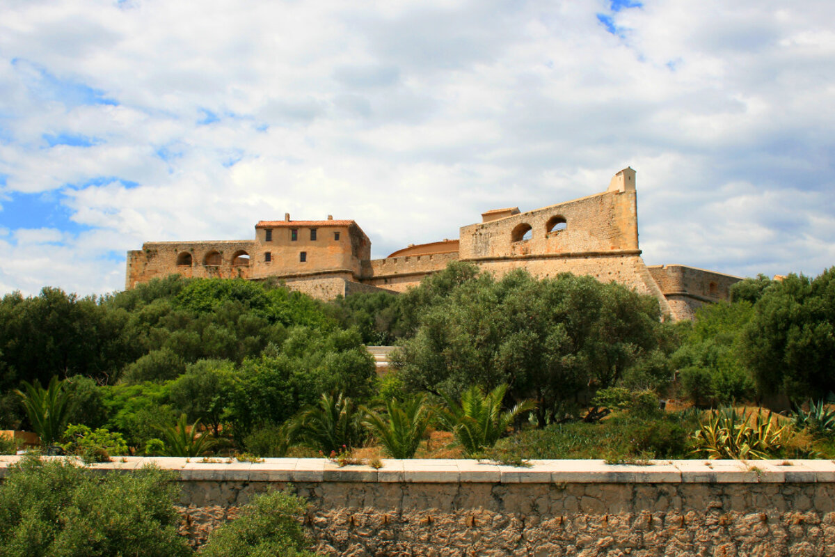 A castle sits on top of a hill surrounded by trees