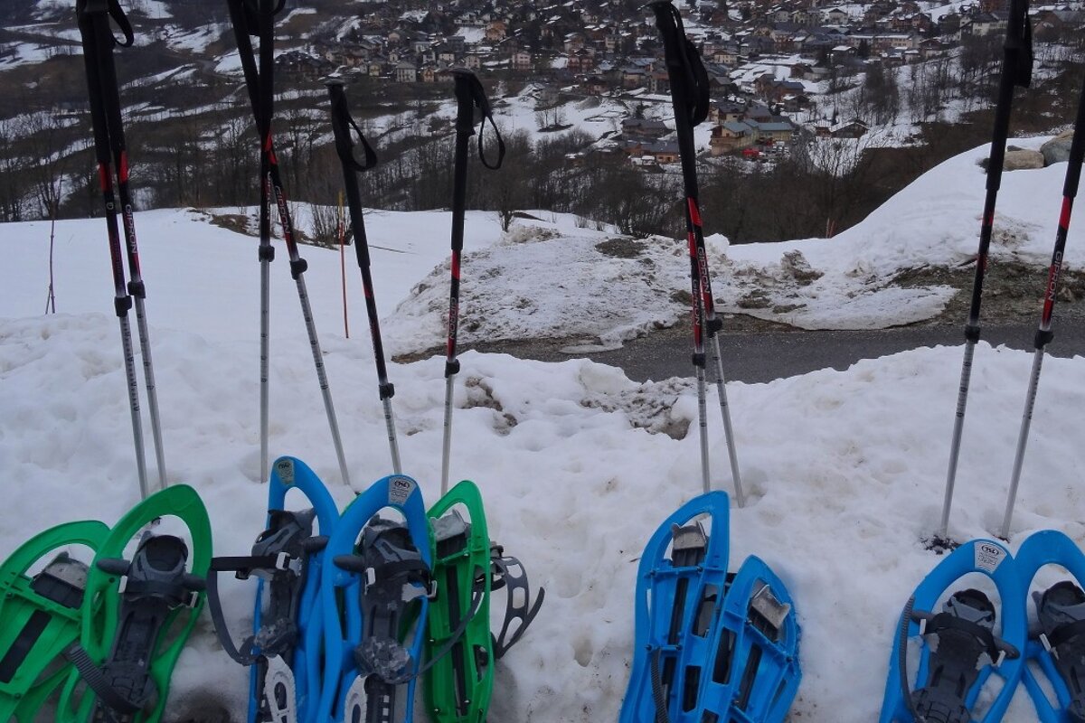 snow shoes and poles lined up on a bank