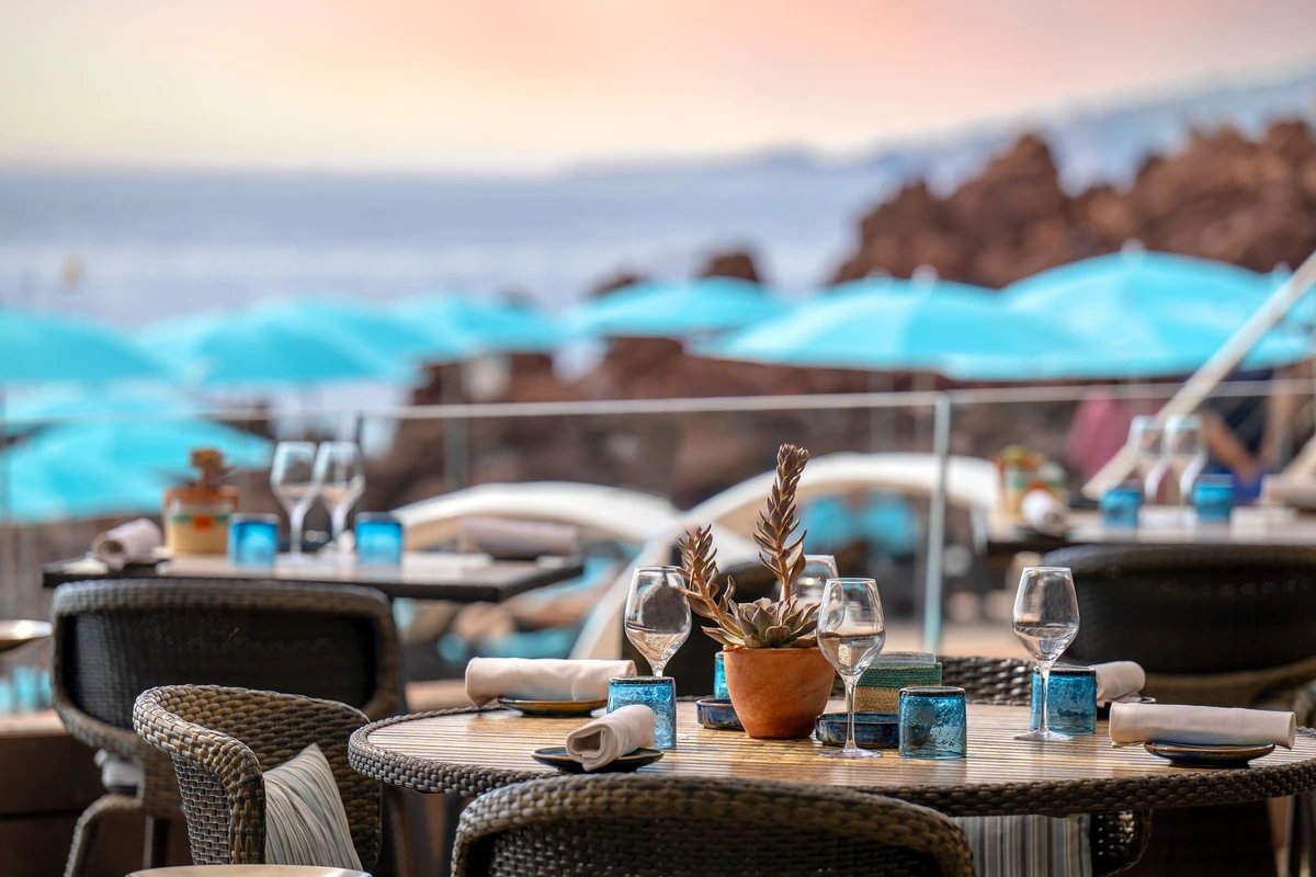 A table with a potted plant and glasses on it