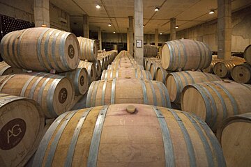 About Wine Producing Areas in Mallorca