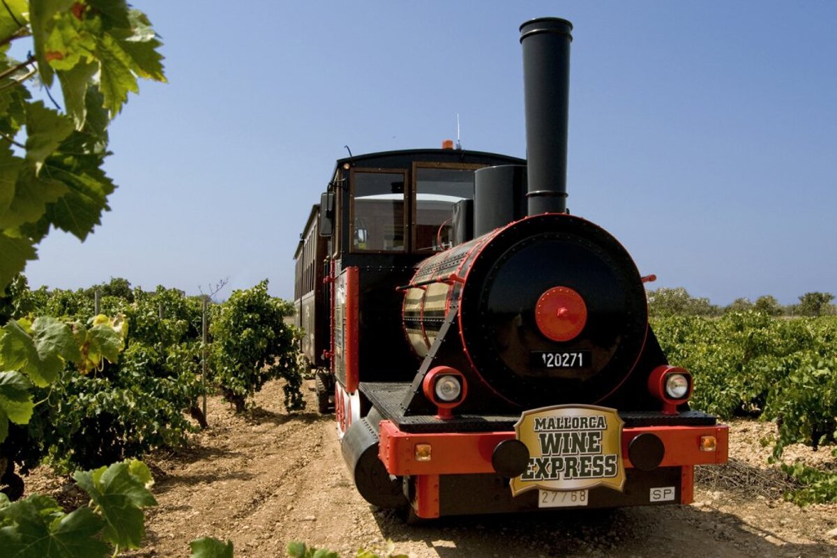 About Wine Producing Areas in Mallorca