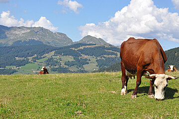 La Ferme de Seraussaix, near Avoriaz