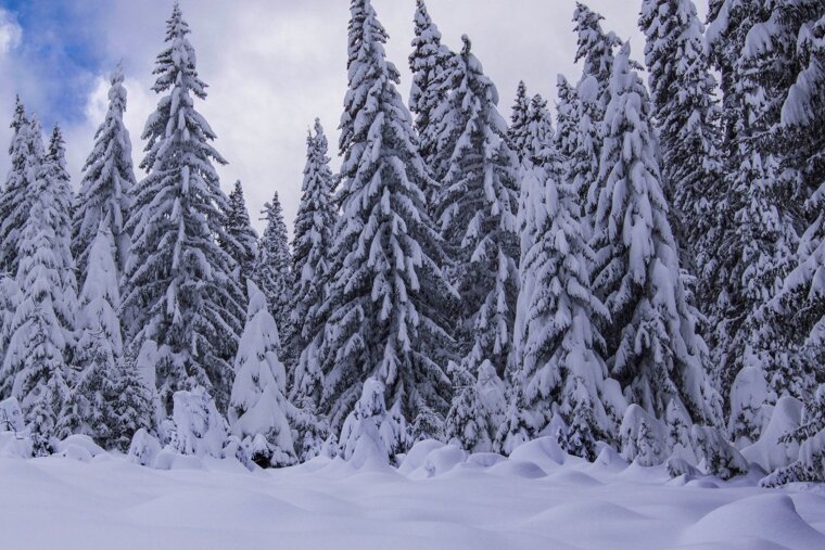 What's new in winter 2019/20