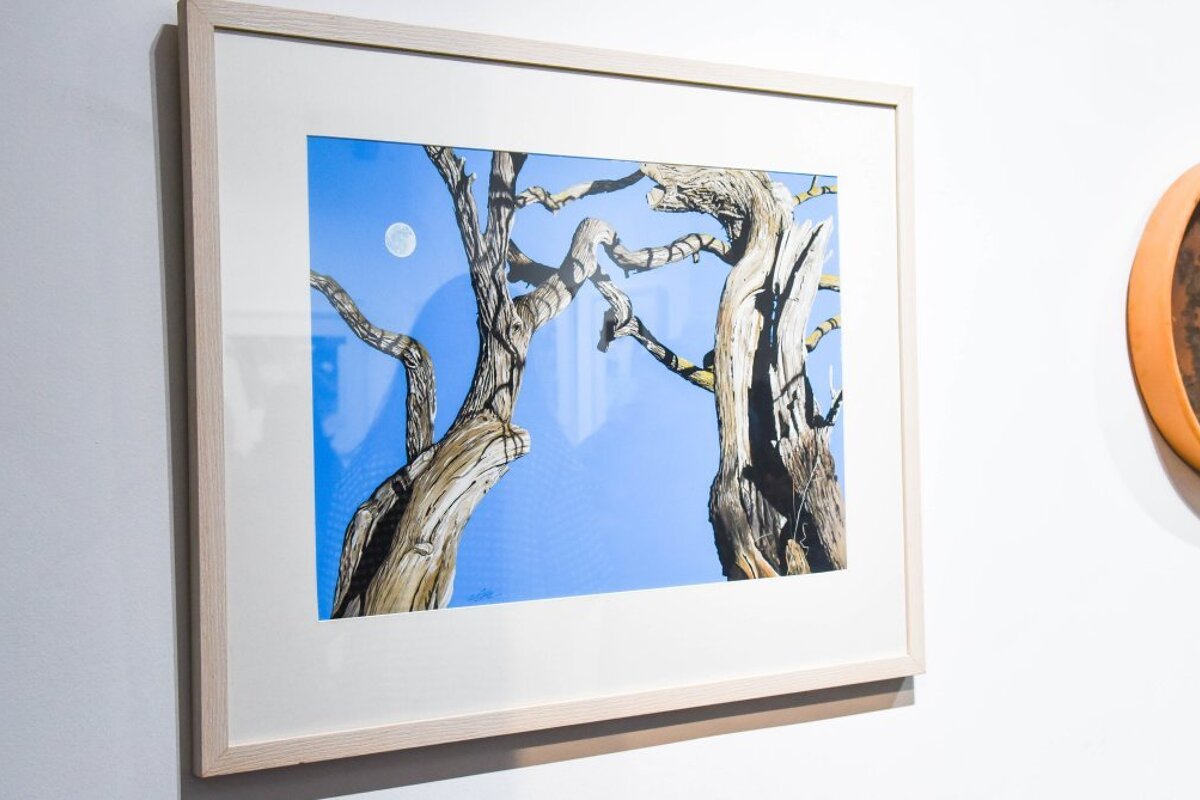 Andrew Potter Art Gallery grand opening 2019