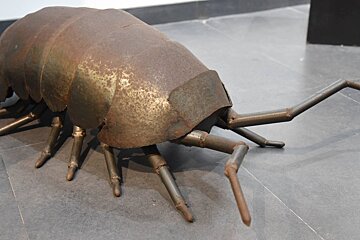 Andrew Potter Art Gallery grand opening 2019