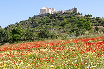 A view over poppy fields to village of Arta in Mallorca