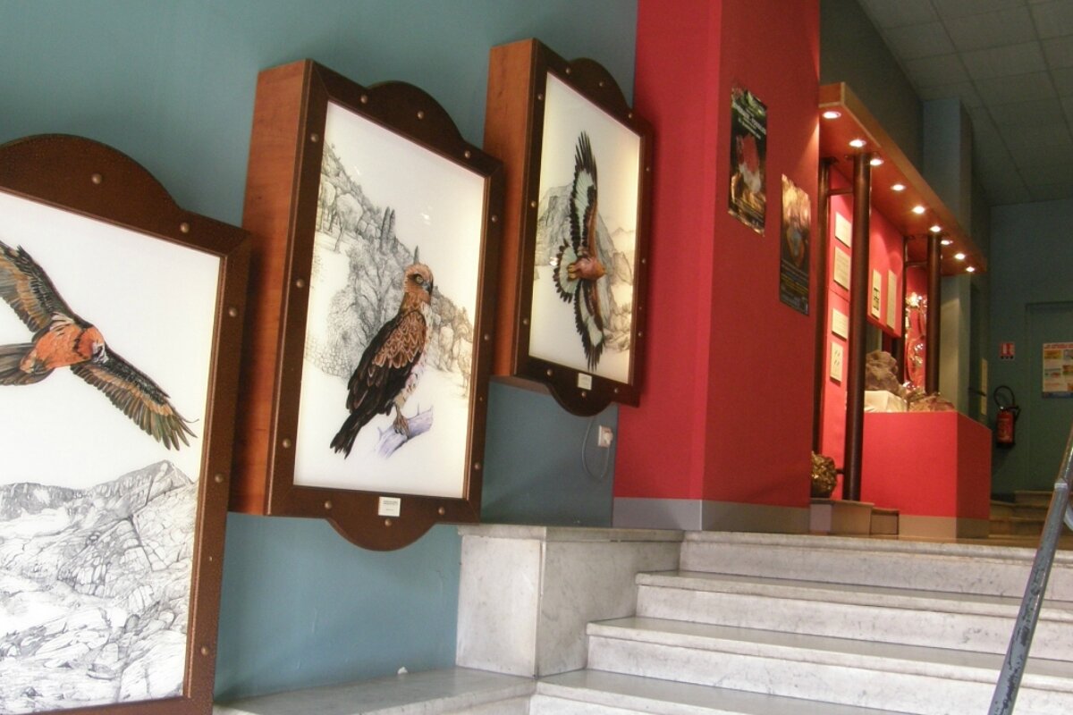 Natural History Museum, Nice