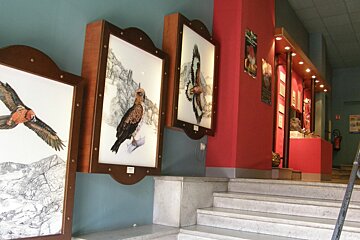 Natural History Museum, Nice