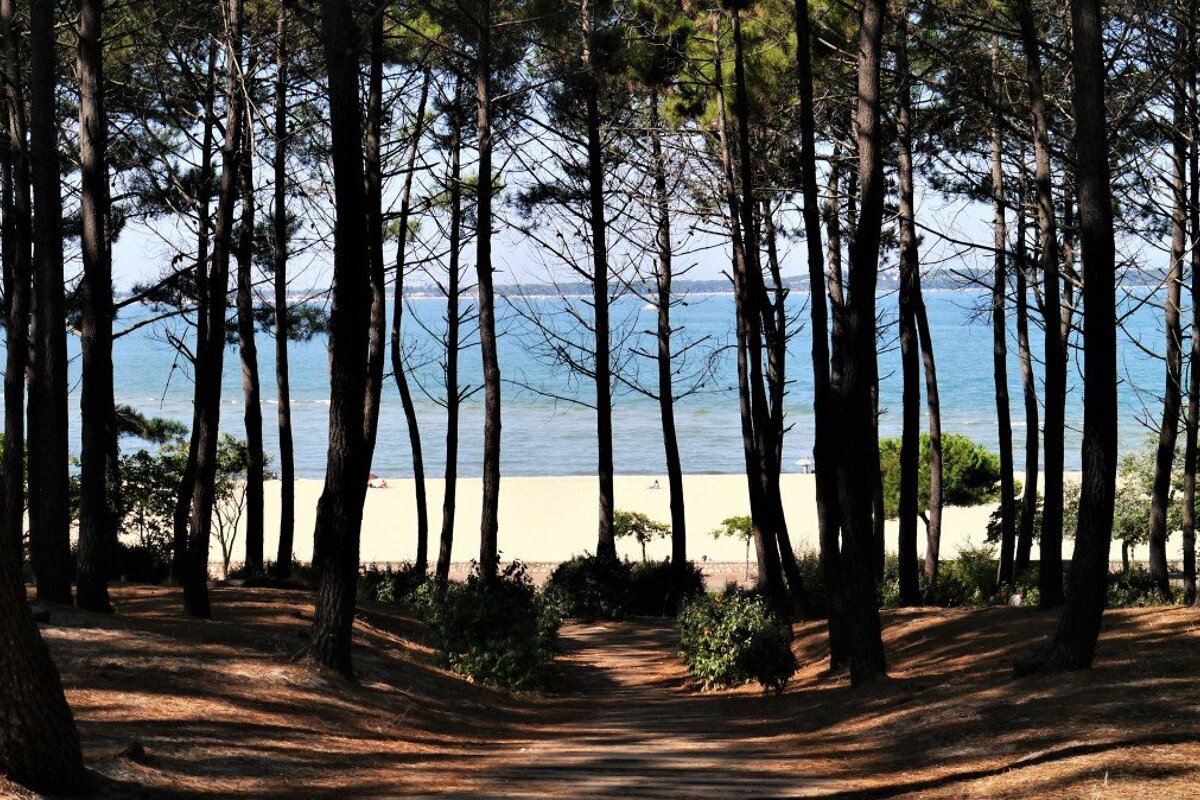 Forest area leading from parking to Plage des Abatilles