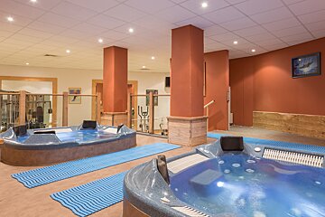 Two hot tubs in a gym with a picture of a dolphin on the wall