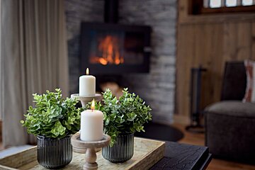Candles and potted plants on a tray in front of a fireplace