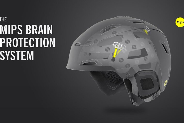 The Mips Brain Protection System