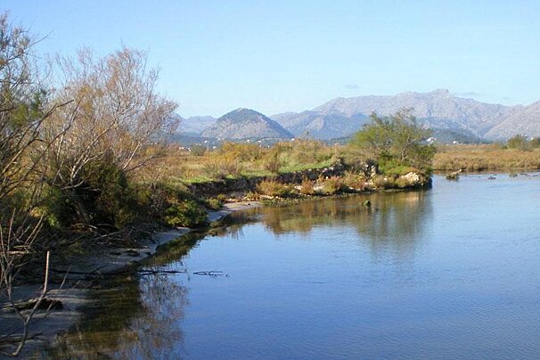 S'Albufereta Nature Reserve, Mallorca