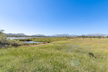 A lush green field with mountains in the background