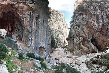 Incentive Events & Corporate Activity Days