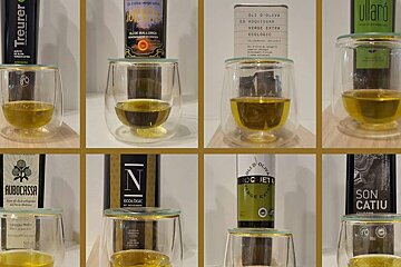 Mallorcan olive oil pressing forward