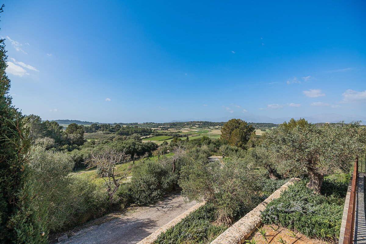 A view of a field with trees and a blue sky