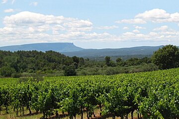 Chateau La Curniere Vineyard, Barjols