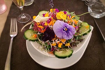 Le Taille de Guepe, Antibes starter
