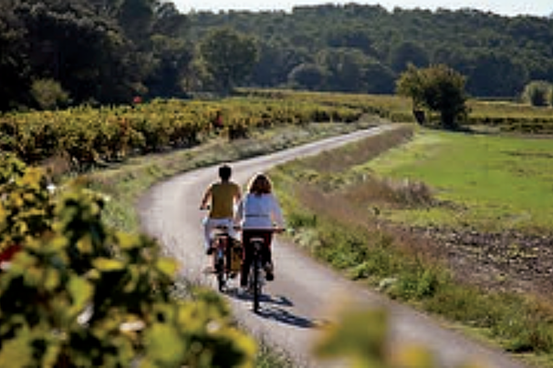 Le Tour du Massif d'Uchaux