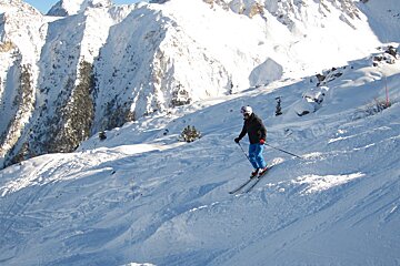moguls and skier