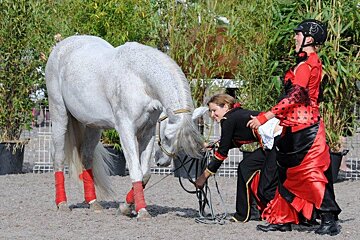 Salon du Cheval Horse Show, Cagnes sur Mer