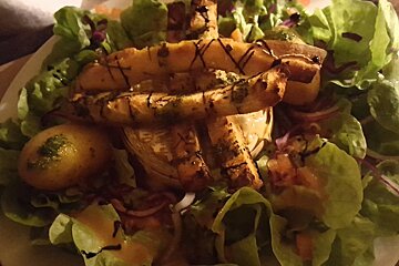 Le Trappeur restaurant review, 2 Alpes