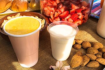 Almond Fair (Fira de la Flor d'Ametler) Review, Son Servera