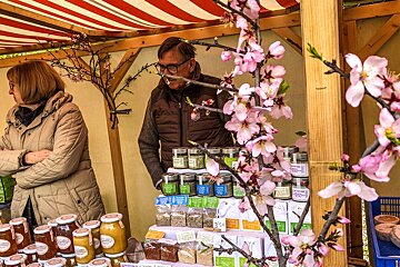 Almond Fair (Fira de la Flor d'Ametler) Review, Son Servera