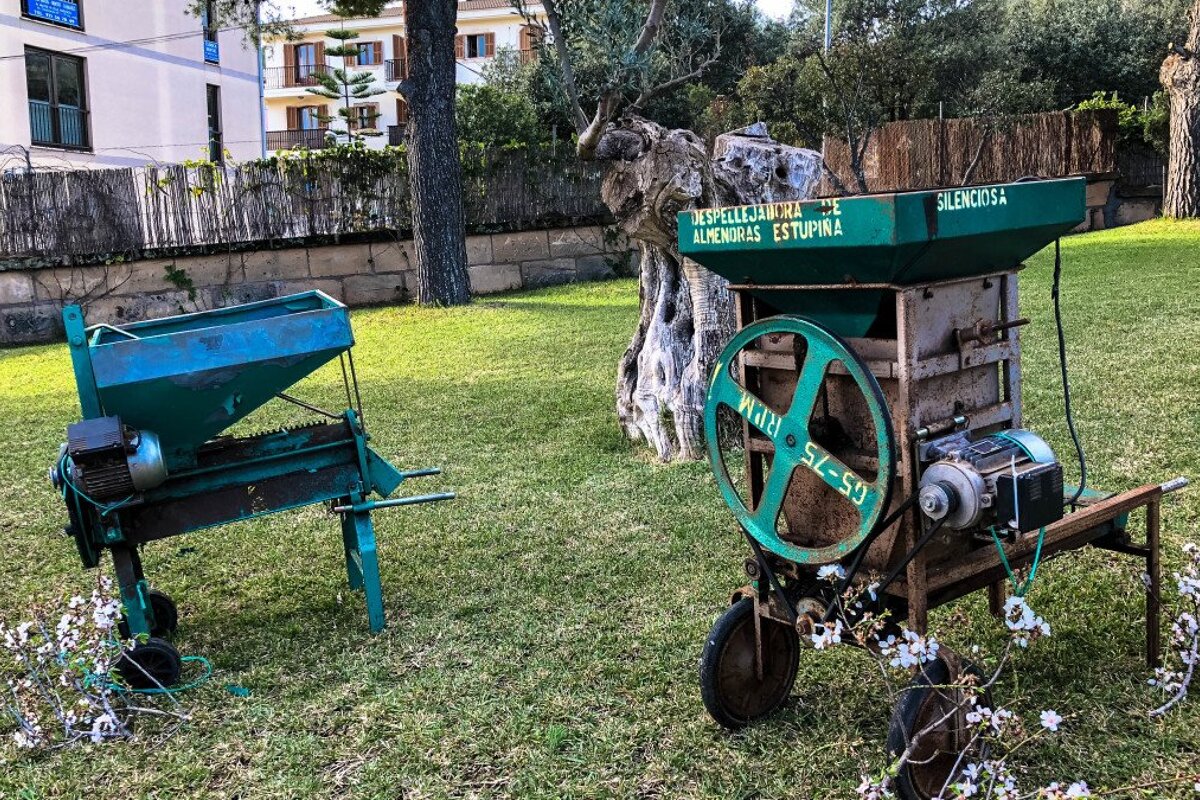 Almond Fair (Fira de la Flor d'Ametler) Review, Son Servera