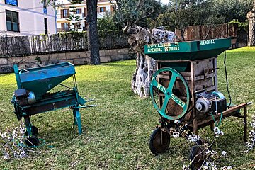 Almond Fair (Fira de la Flor d'Ametler) Review, Son Servera