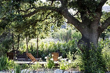 Le Mas d'Aigret Hotel, Les Baux garden