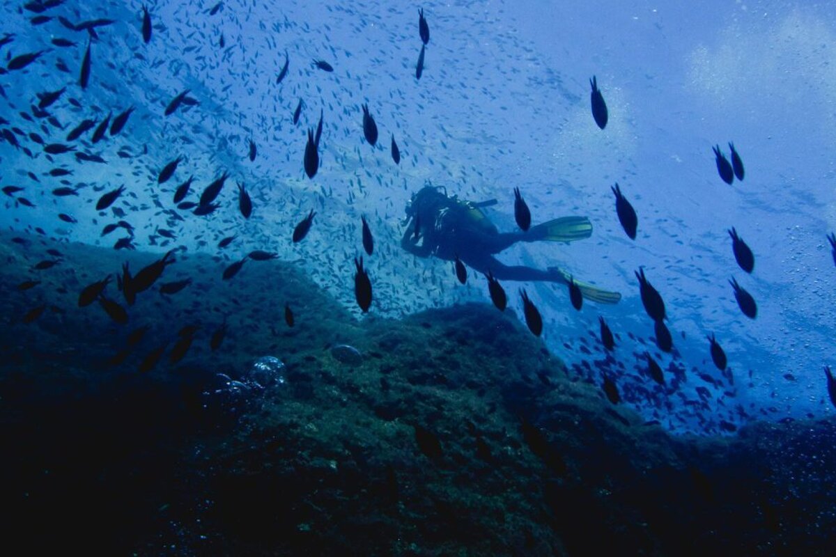 Punta Dive Ibiza, Santa Eulalia