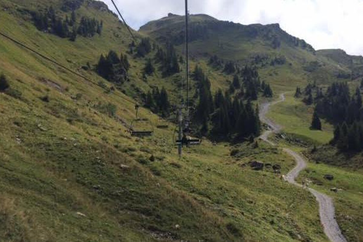 a small chair lift with a fire road to one side