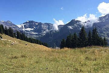 a summer meadow heading into switzerland