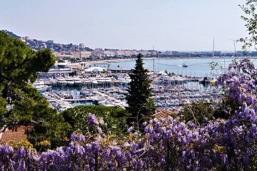 Port de Cannes (Vieux Port), Cannes