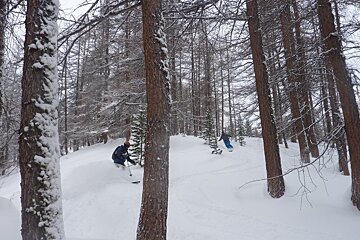 Incredible powder skiing in Val d'Isere