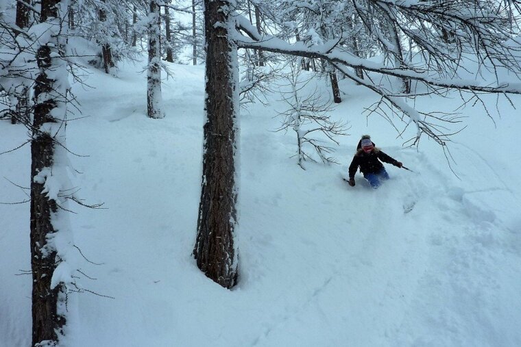 a skier in the trees in val disere