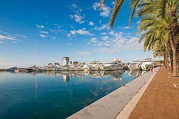 yachts in the marina at Puerto portals