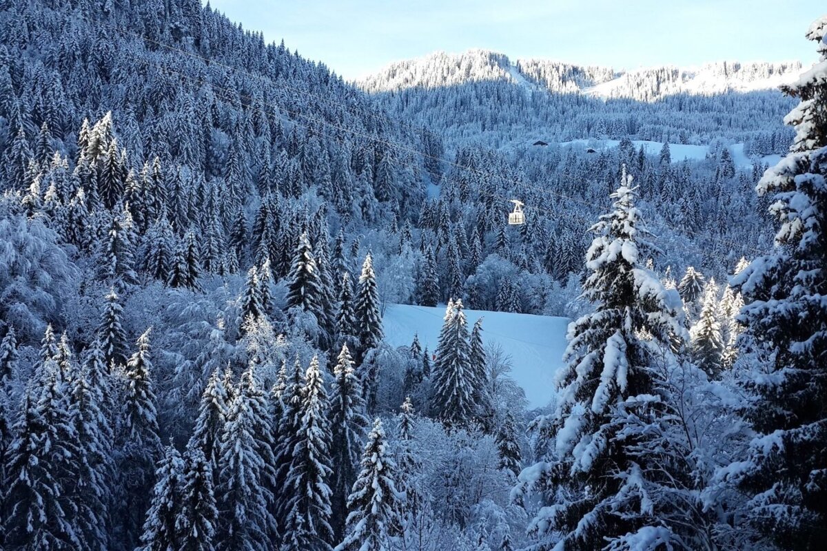 A vast winter landscape of snow-covered pine trees and mountains under a bright sky. A white gondola car glides over the pristine forest.