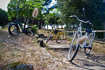 Two bicycles are parked next to each other in a field