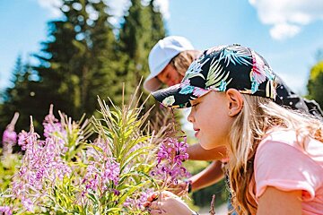 About Morzine Summer Lift Pass Prices