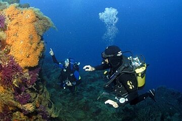European Diving School, Ramatuelle