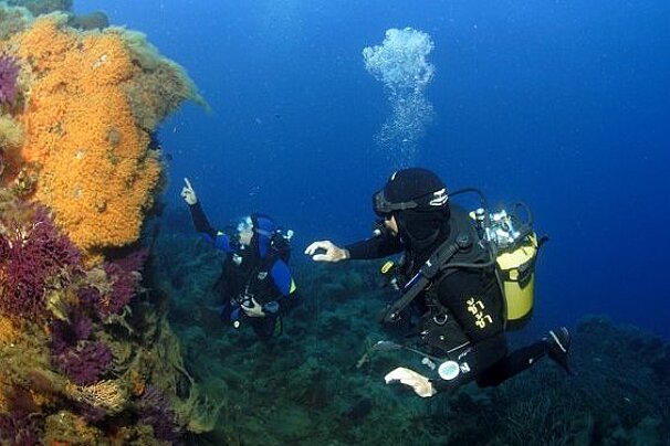 European Diving School, Ramatuelle